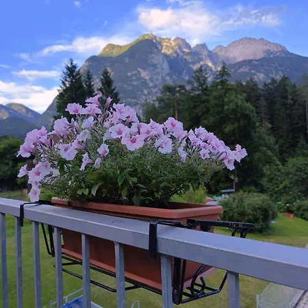 Da Mario Auronzo di Cadore